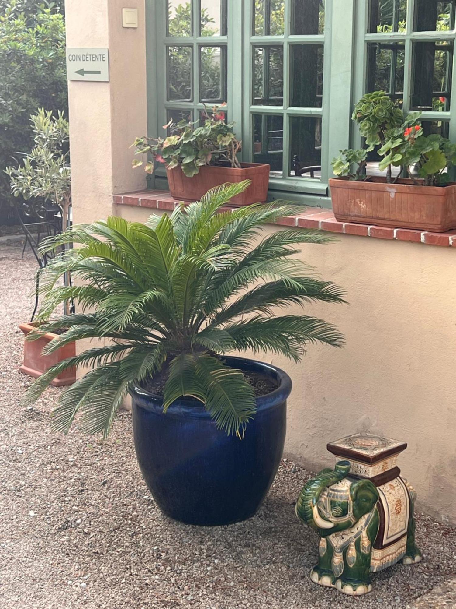 Hotel Le Ponteil Antibes Dış mekan fotoğraf