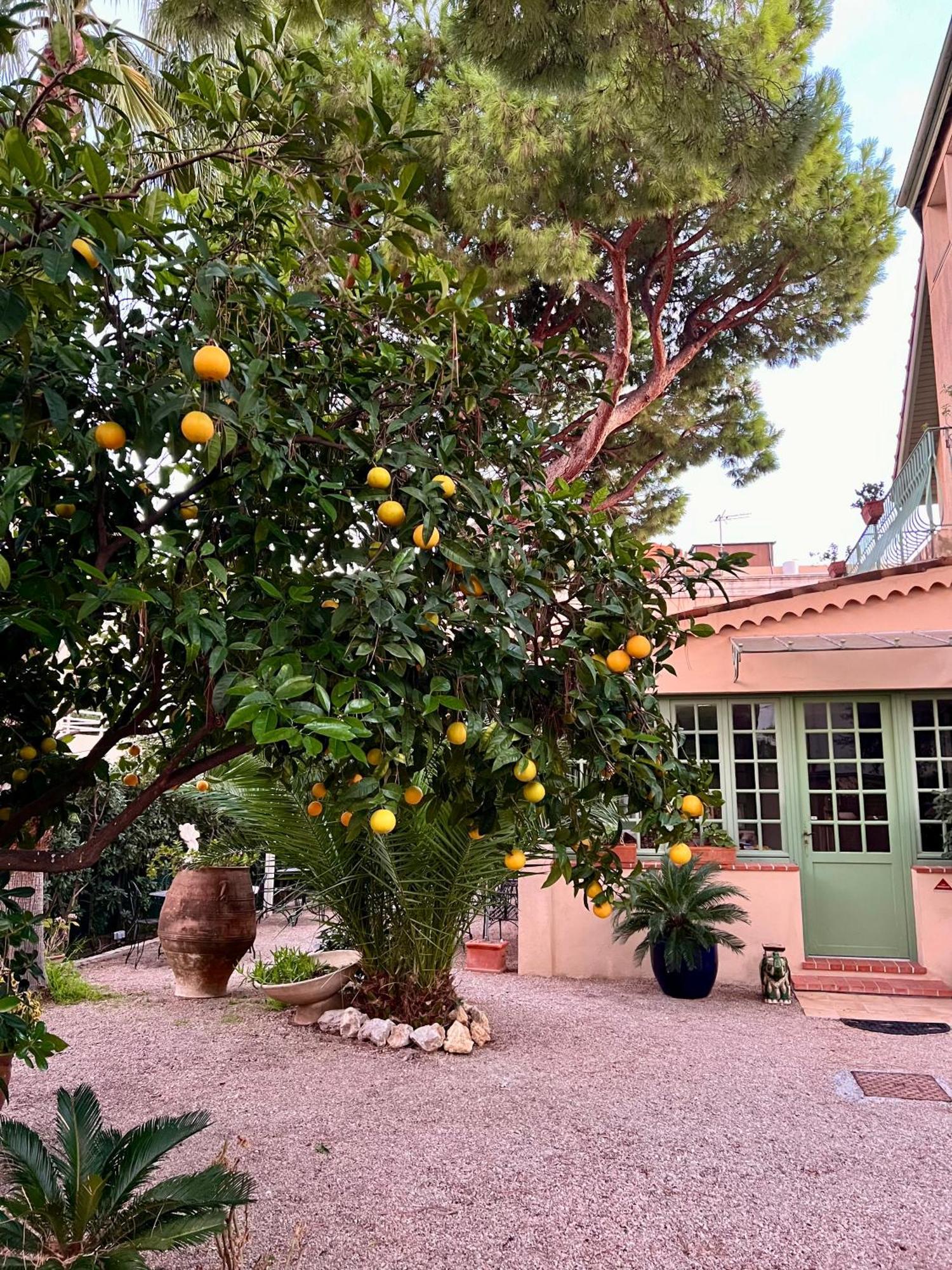 Hotel Le Ponteil Antibes Dış mekan fotoğraf