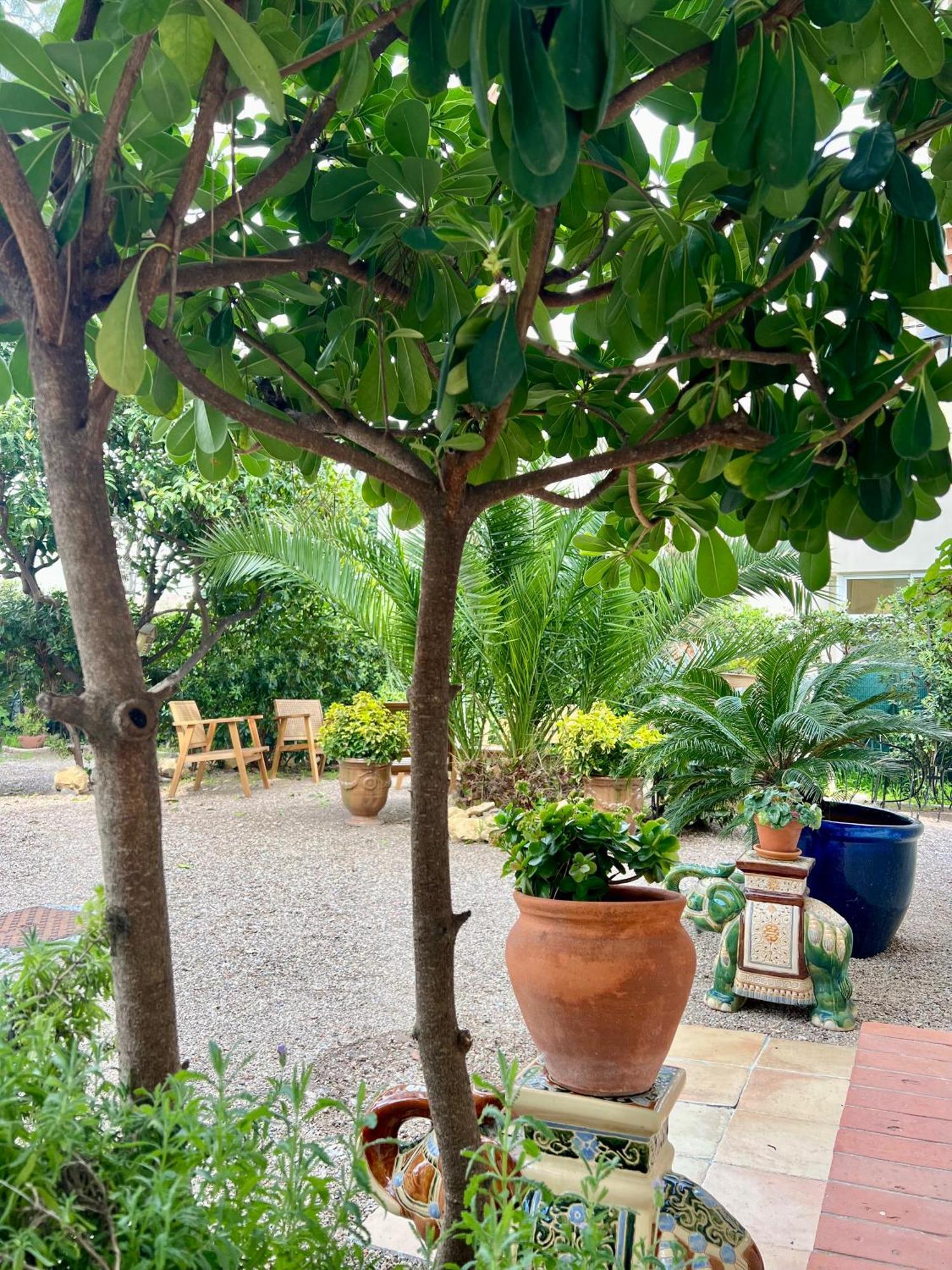 Hotel Le Ponteil Antibes Dış mekan fotoğraf