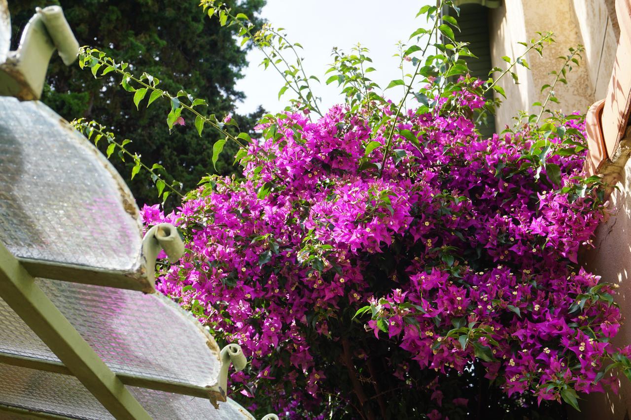Hotel Le Ponteil Antibes Dış mekan fotoğraf